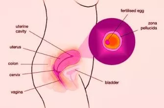 Pregnancy After Laparoscopy What You Need To Know